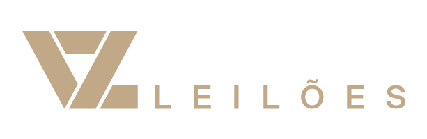 VZ Leilões